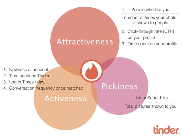 How Does The Tinder Matching Algorithm Work?