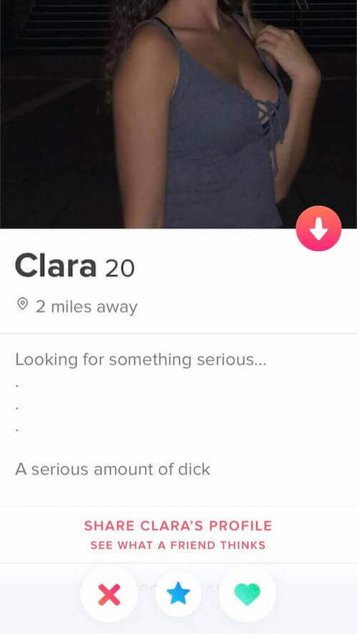 Witty Tinder Bios Female Reddit