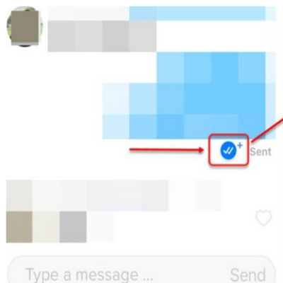 Two Check Marks On Tinder Message